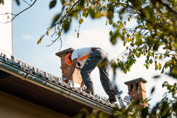 Best Roof Maintenance Services  in Lemoore Station, CA